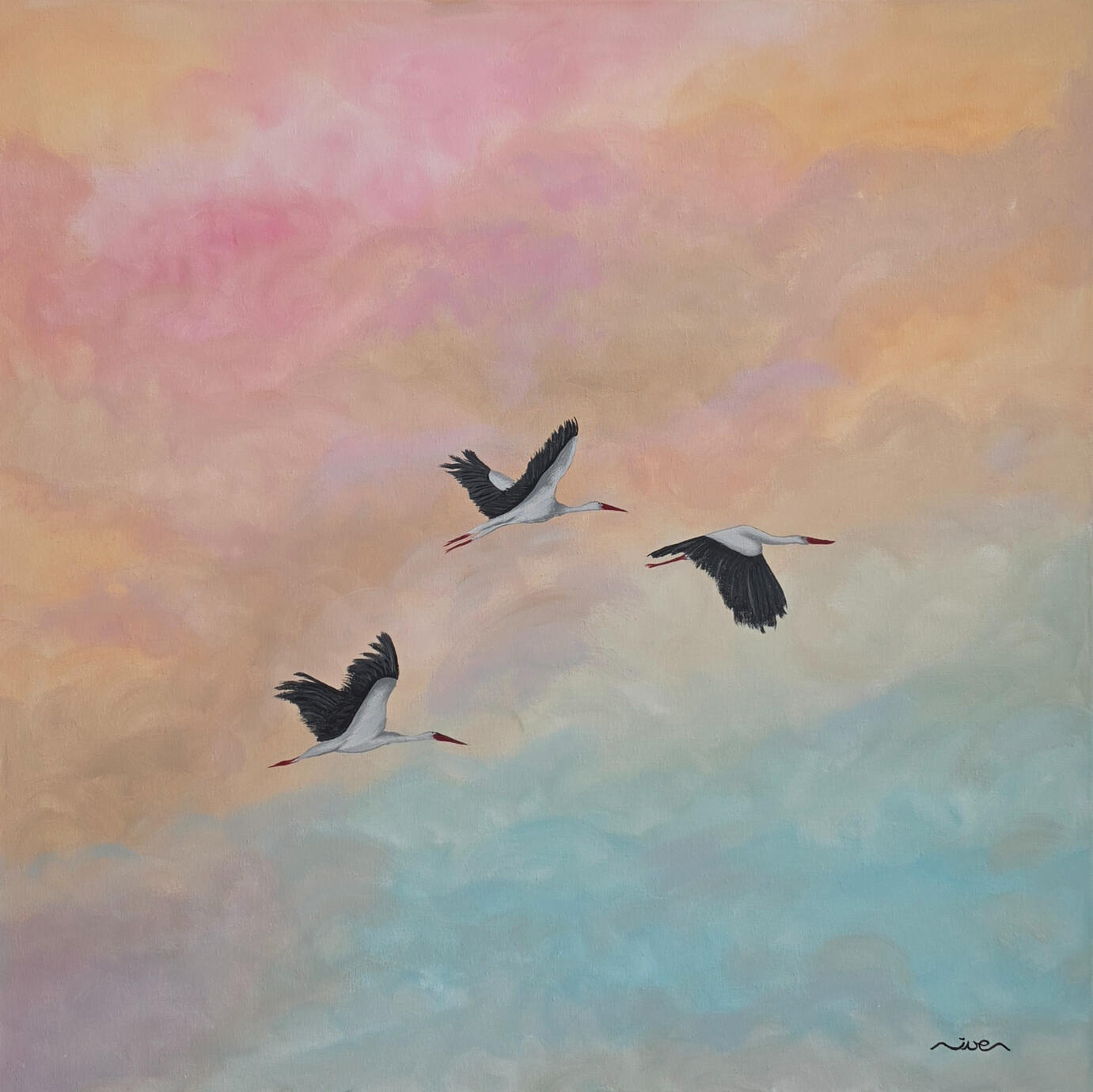 Freedom 80x80 (1 499 zł)